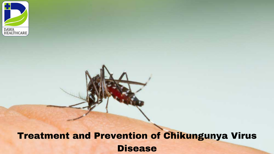 Treatment and Prevention of Chikungunya Virus Disease