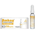 AMKAY 250MG/2ML INJ