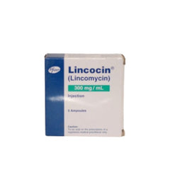 LINCOCIN INJ 300MG