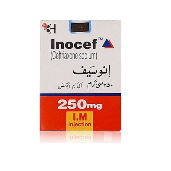 INOCEF 250MG INJ