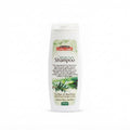 SG TEA TREE & ALOEVERA SHAMPOO 200ML
