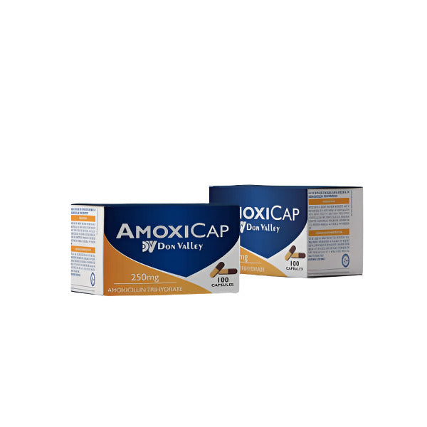 AMOXICAP 250MG CAP