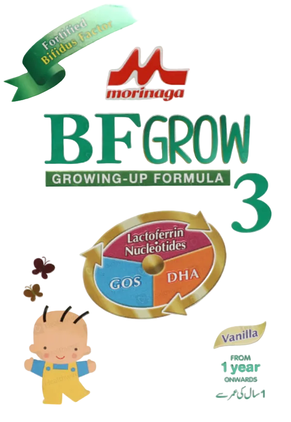 MORINAGA BF- 3 SOFTPACK 300GM